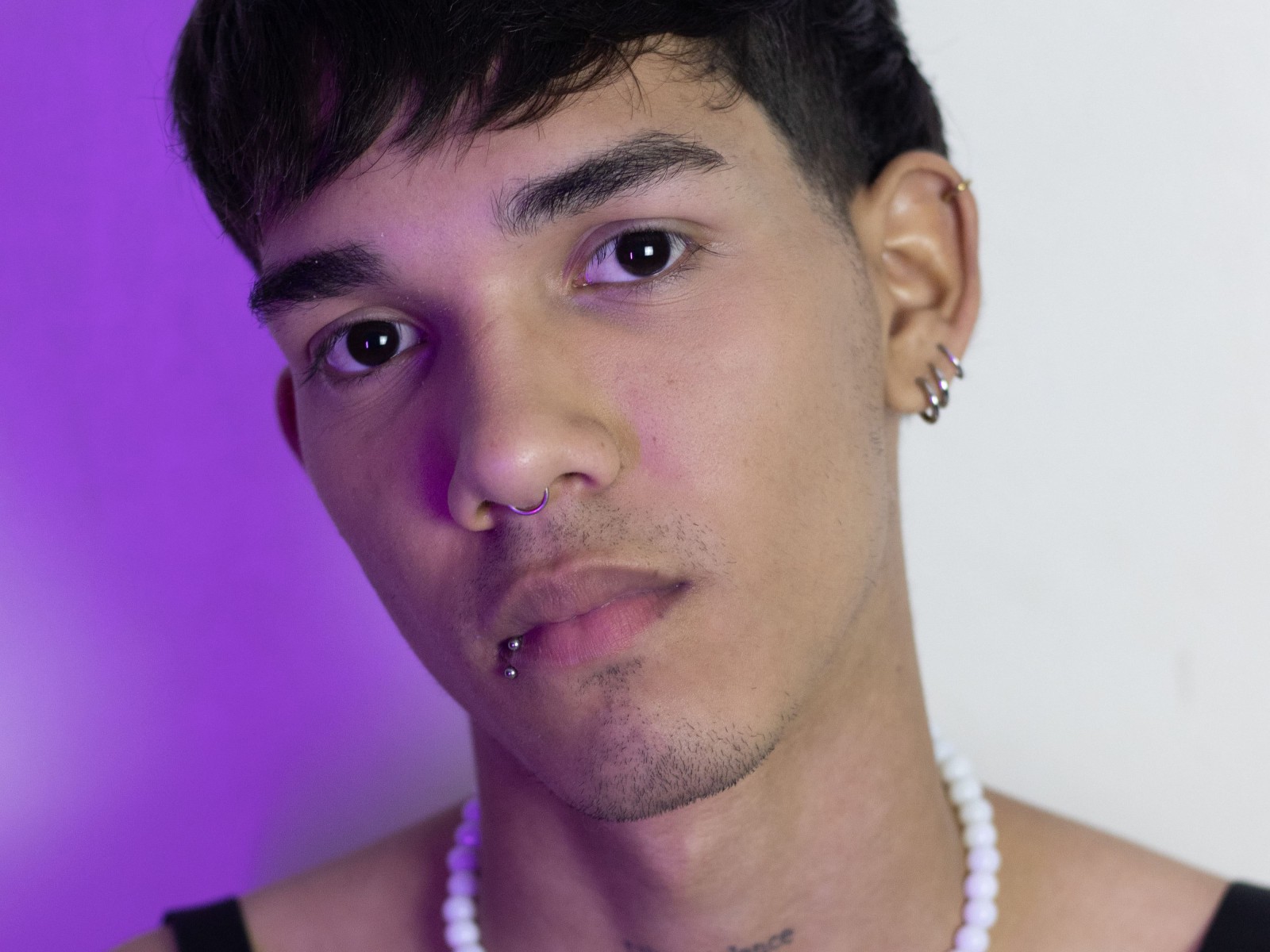 Profil de Pollitorosa - Photo n°1