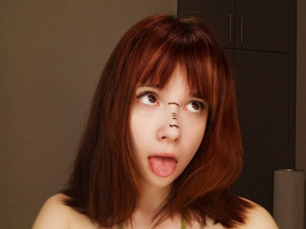 Perfil con Pollygardener - Imagen  n°2