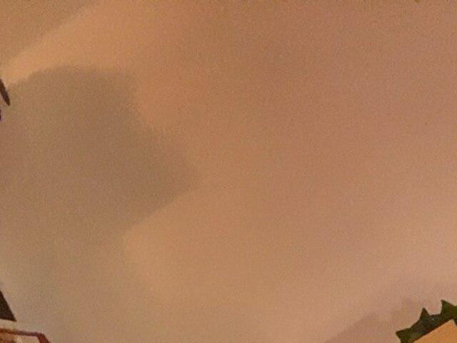 Precioussex's profiel - Afbeelding n°1