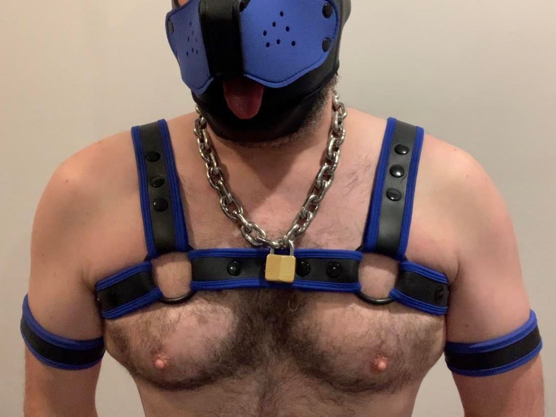 Puptank's profile - Image n°1