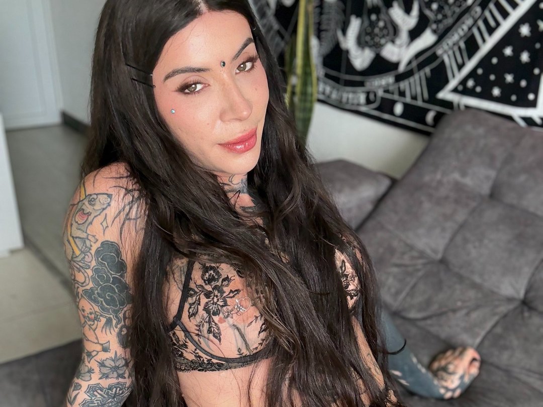 Perfil con PvnkyFox - Imagen  n°1