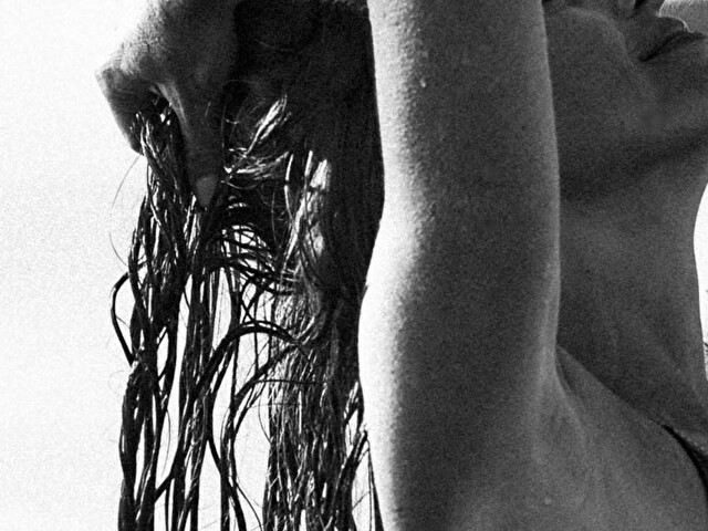 RedFox's Profil - Bild n°1