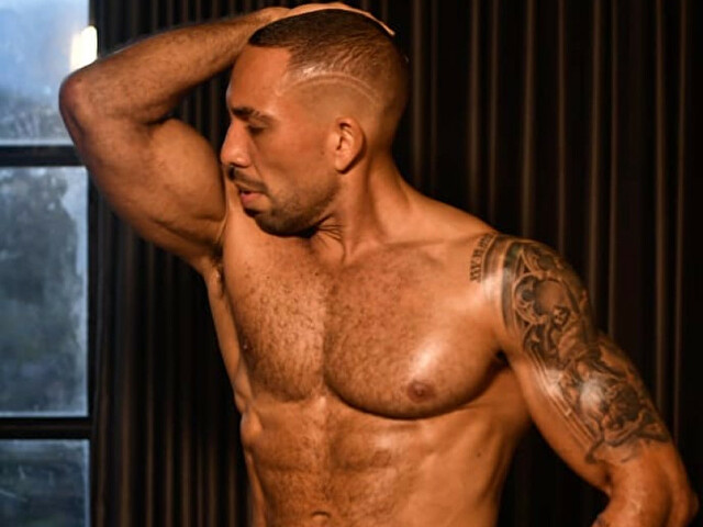 RomanMuscle's profile - Image n°0