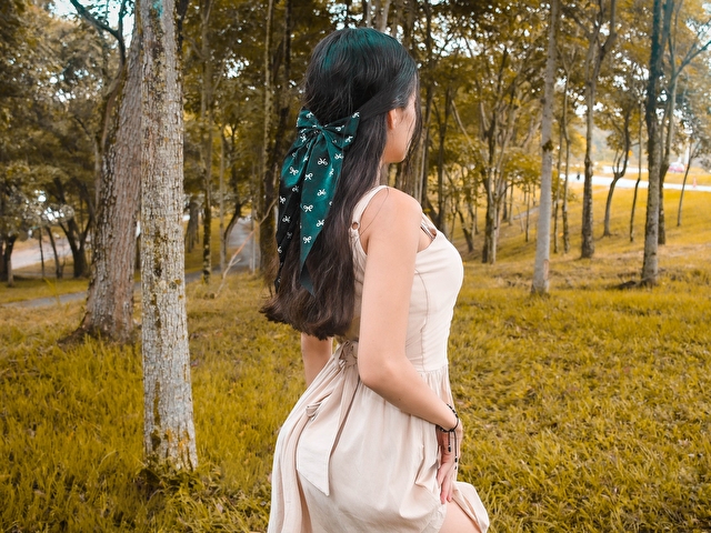 Rossefire's profile - Image n°8