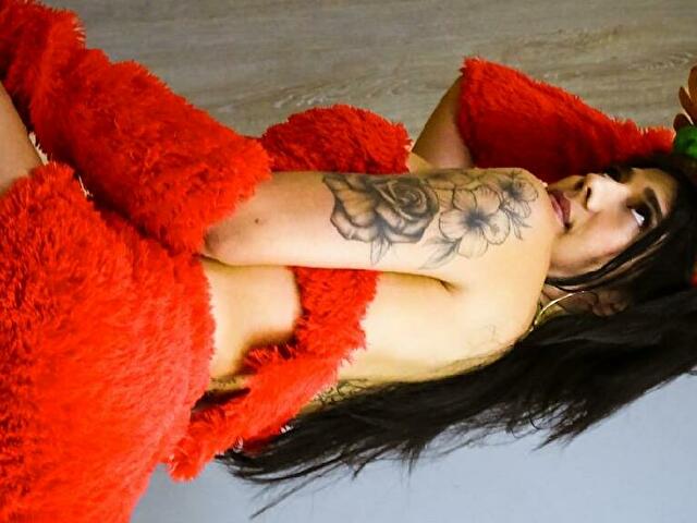 Perfil con Sachaevansts - Imagen  n°30