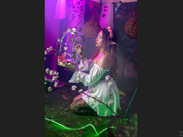 Perfil con Saelivrae - Imagen  n°2