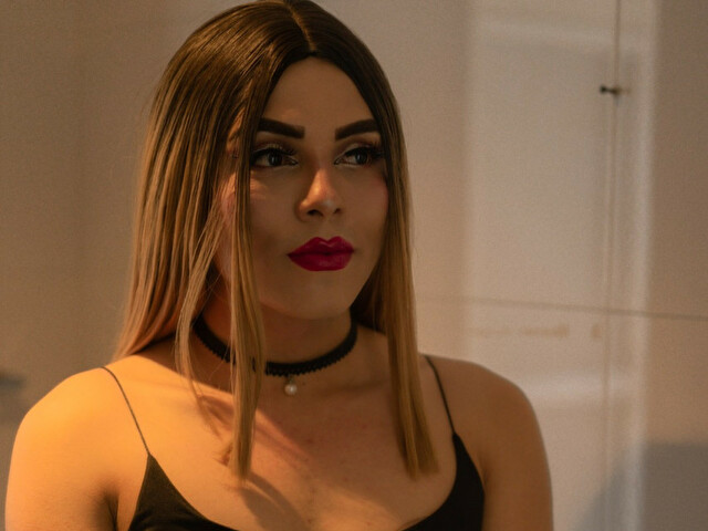 Perfil con saravalley - Imagen  n°6