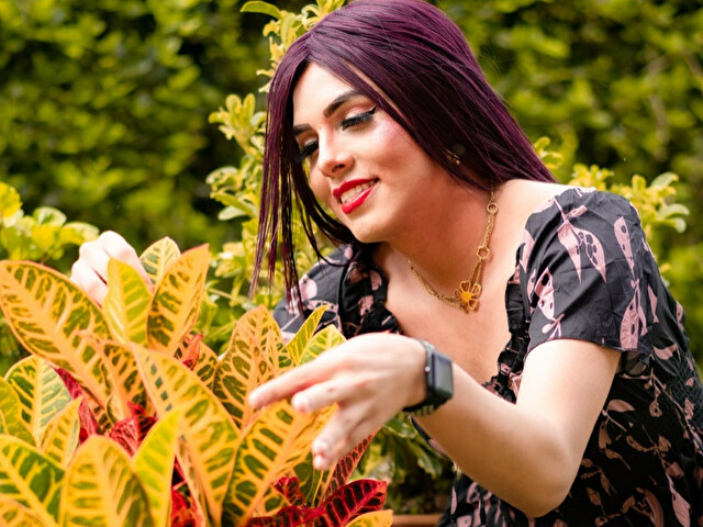 Perfil con saravalley - Imagen  n°40