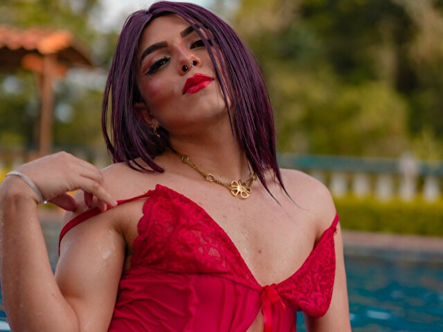 Perfil con saravalley - Imagen  n°5