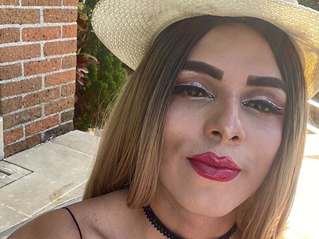 Perfil con saravalley - Imagen  n°61