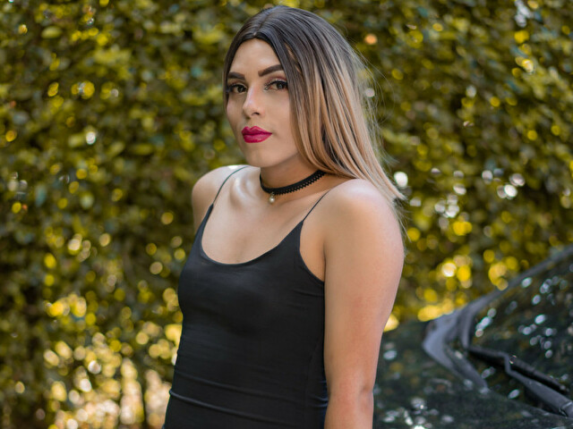 Perfil con saravalley - Imagen  n°59