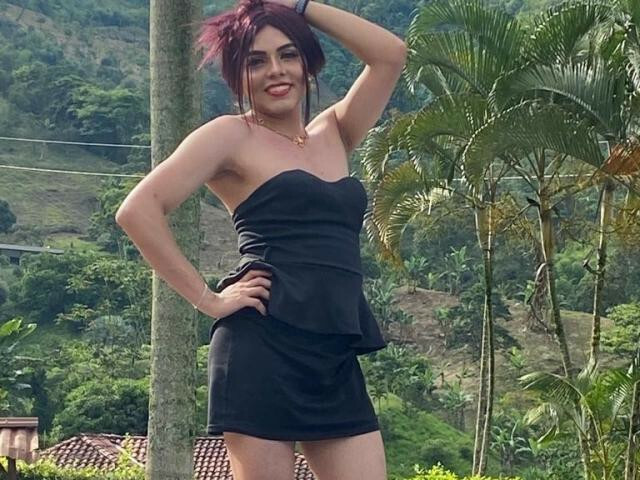 Perfil con saravalley - Imagen  n°57