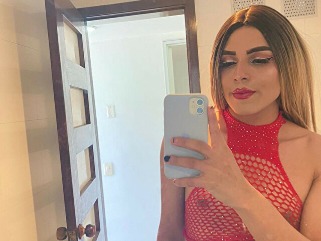 Perfil con saravalley - Imagen  n°27