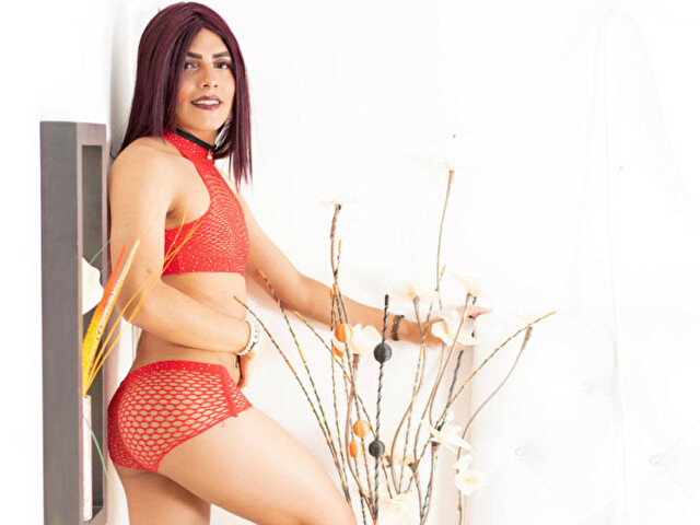 Perfil con saravalley - Imagen  n°32