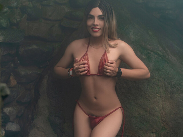 Perfil con saravalley - Imagen  n°23