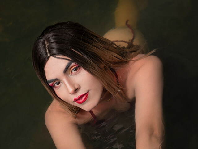 Perfil con saravalley - Imagen  n°34