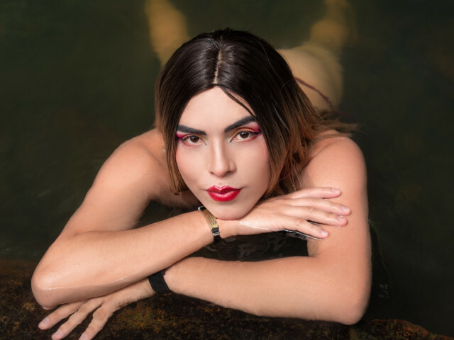 Perfil con saravalley - Imagen  n°35