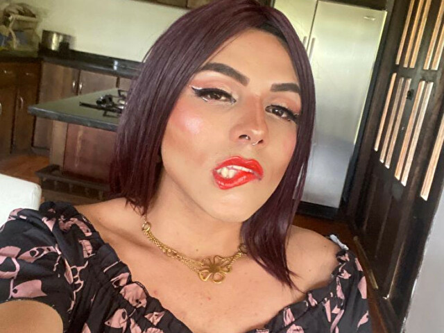 Perfil con saravalley - Imagen  n°21