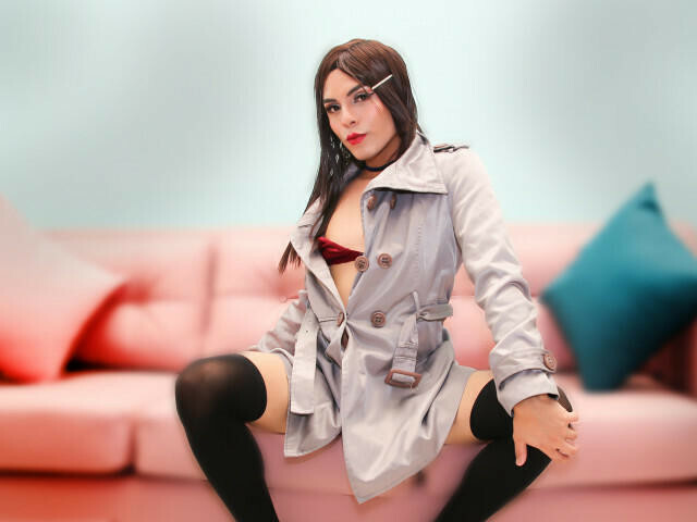 Perfil con saravalley - Imagen  n°50