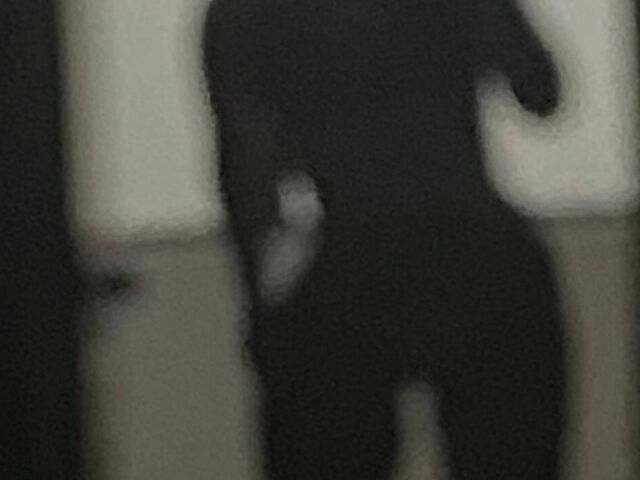 Sallyscott's profiel - Afbeelding n°41