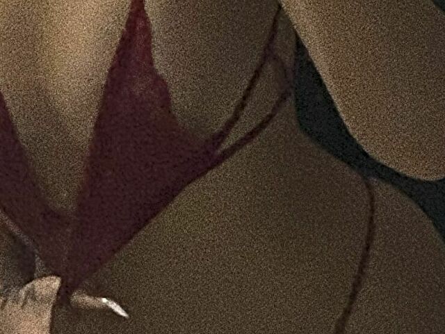 Sallyscott's Profil - Bild n°2