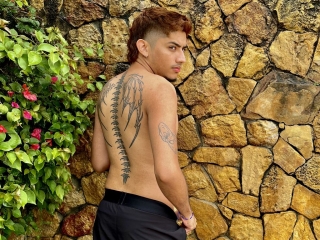 Profil de Salvatorevega