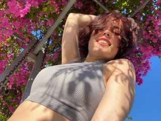 Profil de Sansivierra
