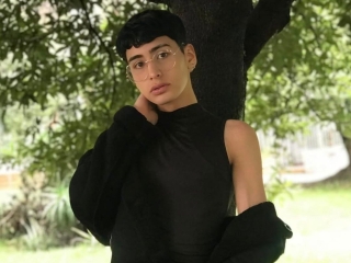Santifoxs
