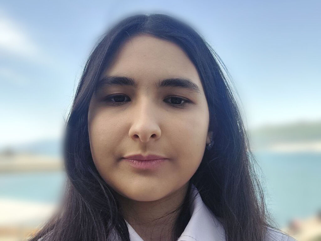 Perfil con Saracodalt - Imagen  n°0