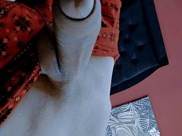 Perfil con saralopezh - Imagen  n°6