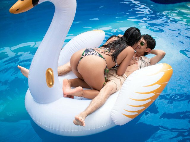 Scarndlogan's Profil - Bild n°26