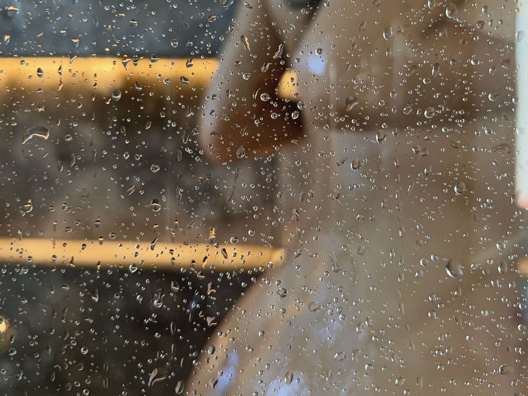 Sexyhoneyy69' profilo - Immagine n°1