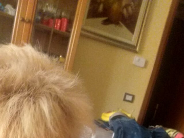 Perfil con sexylola63 - Imagen  n°36