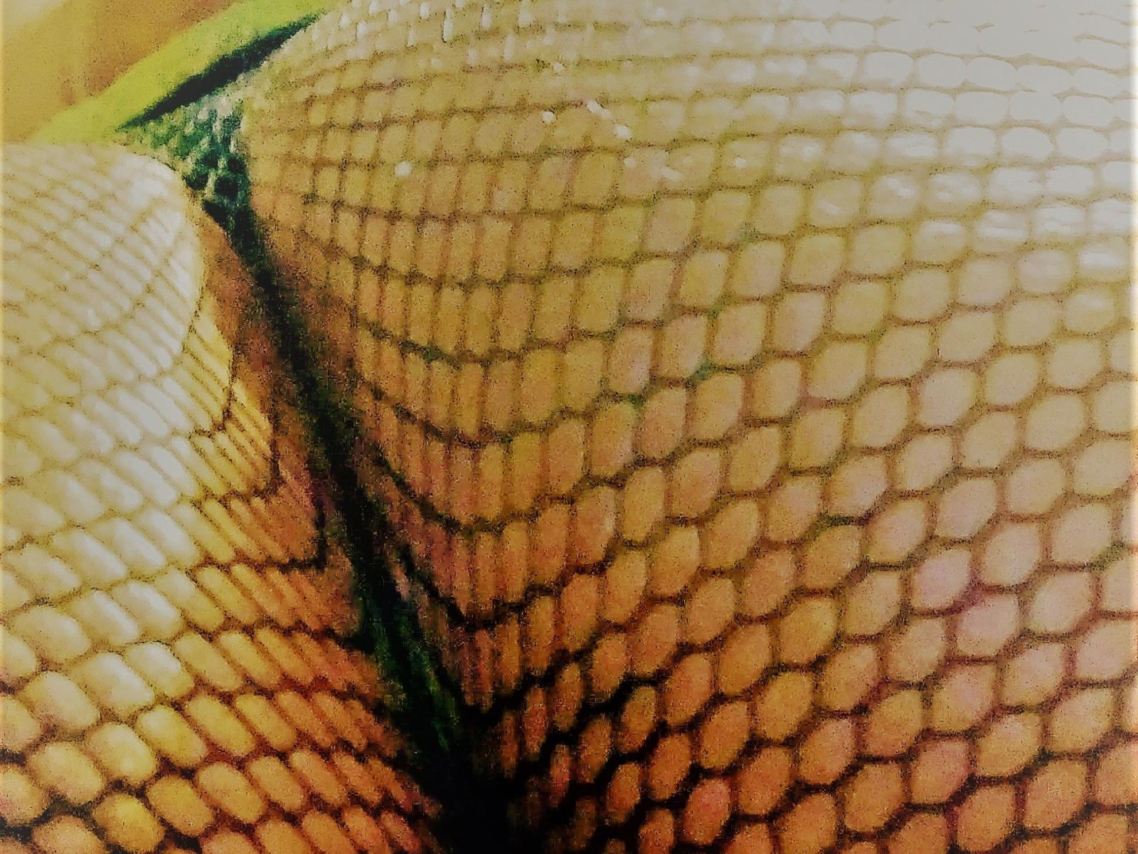 sexylovered45' profilo - Immagine n°5