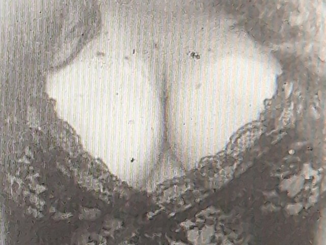 Profil de Sexypussy100 - Photo n°0