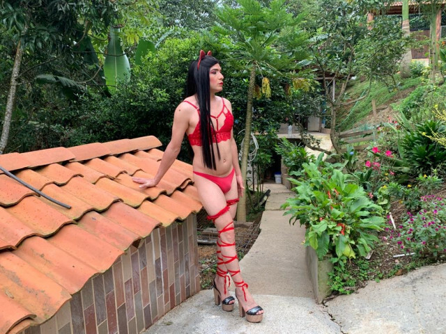 Perfil con SHAIRATS - Imagen  n°5