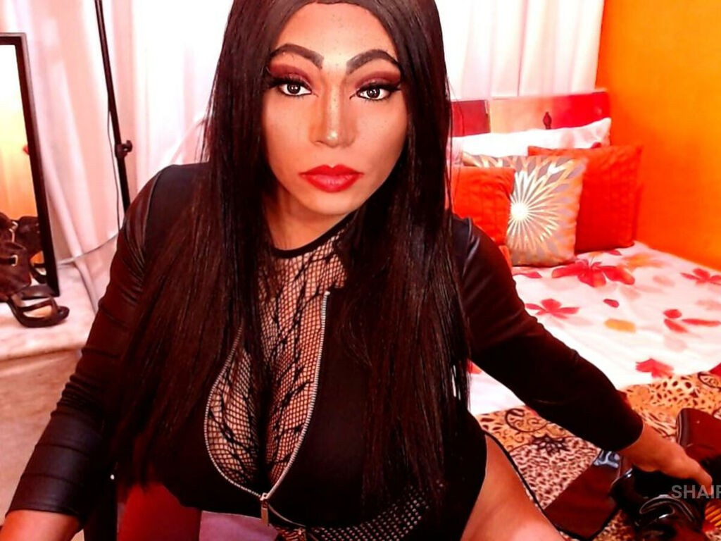 Shairatwain's Profil - Bild n°1