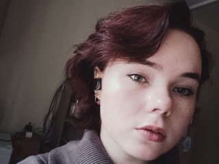 Profil de Sibleyhaines