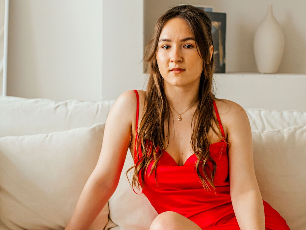 Perfil con Sindiestormy - Imagen  n°2