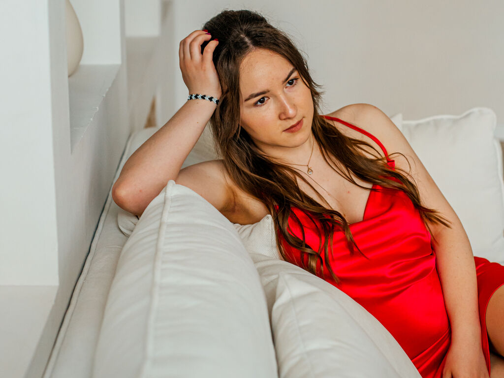 Perfil con Sindiestormy - Imagen  n°3