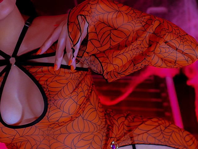 slashbird's Profil - Bild n°8