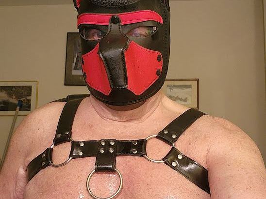 Profil de Smoothleatherguy - Photo n°2