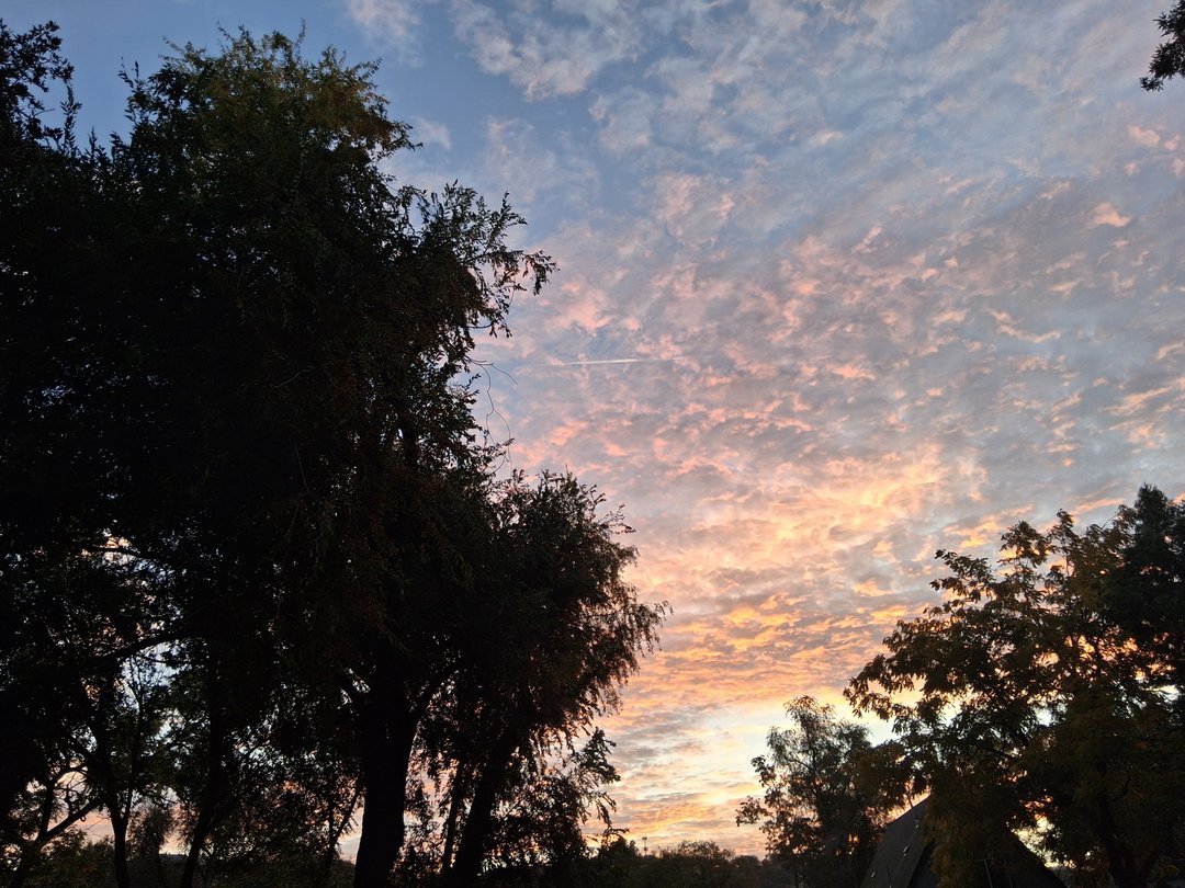 Solojoe's profiel - Afbeelding n°0