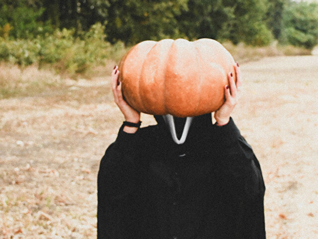 Perfil con Songbird - Imagen  n°2