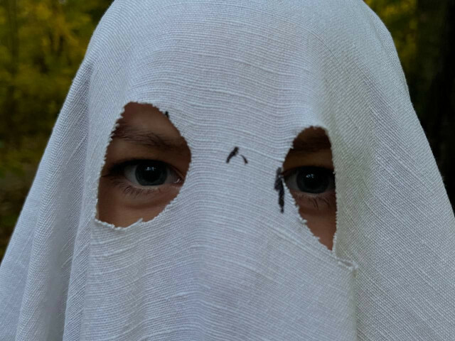 Perfil con Songbird - Imagen  n°80