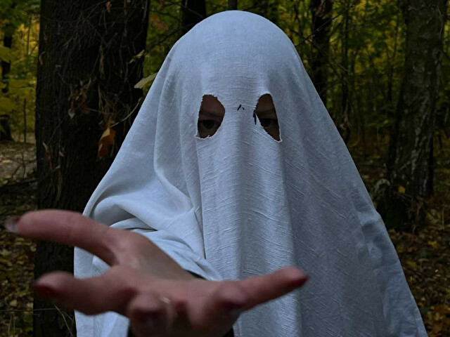 Perfil con Songbird - Imagen  n°81