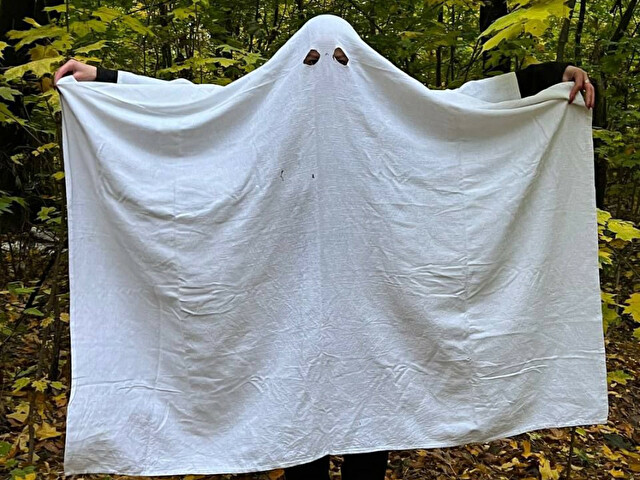 Perfil con Songbird - Imagen  n°82