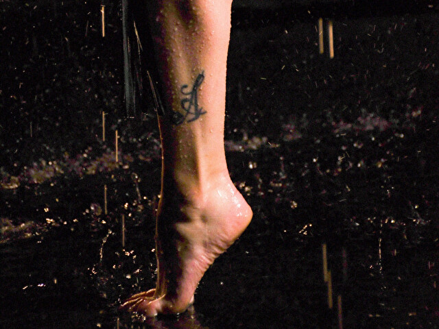 Perfil con Songbird - Imagen  n°47