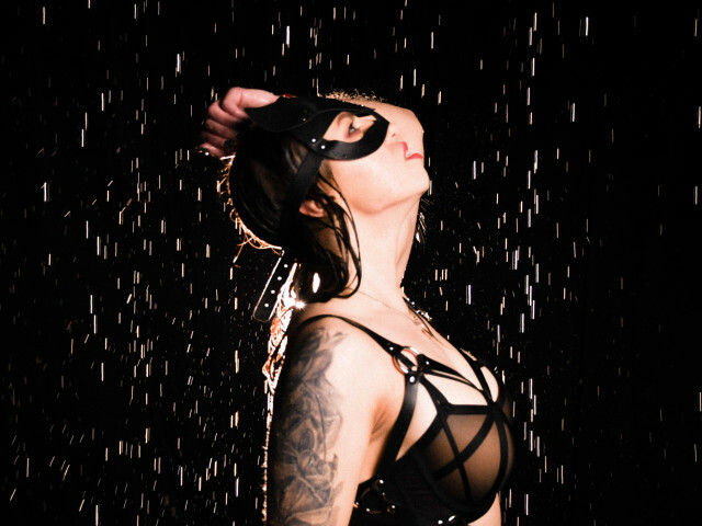 Perfil con Songbird - Imagen  n°58