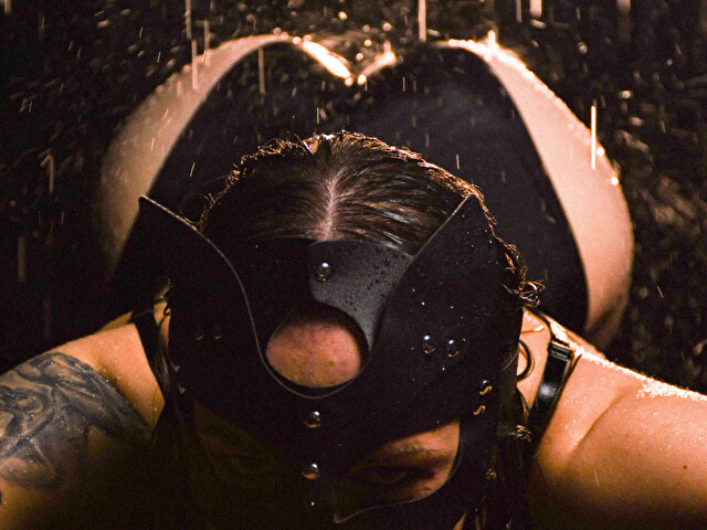 Perfil con Songbird - Imagen  n°61